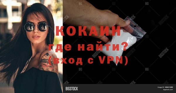 спайс Алзамай