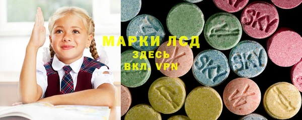 ПСИЛОЦИБИНОВЫЕ ГРИБЫ Осташков
