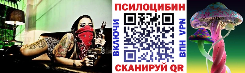 где купить наркотик  Хвалынск  Галлюциногенные грибы Psilocybe 